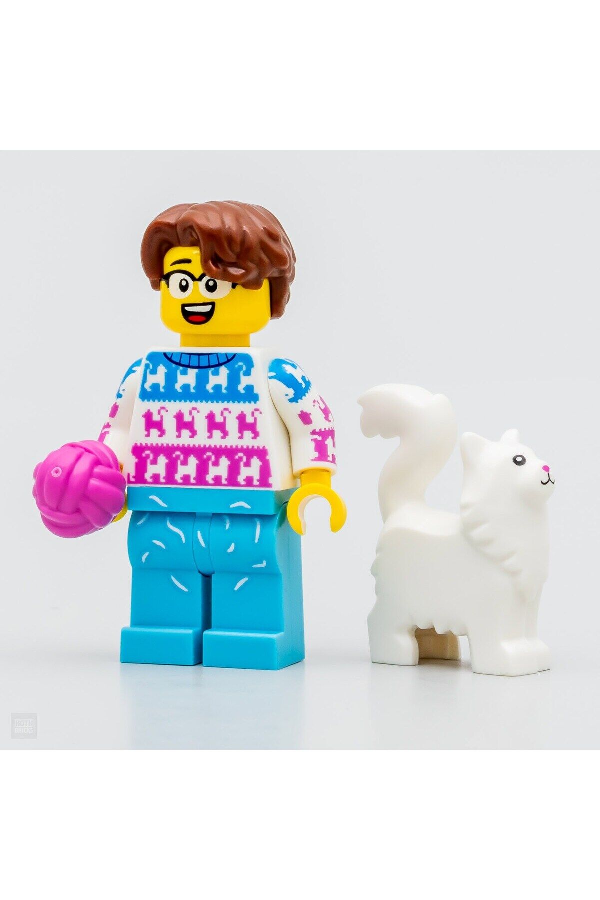 71048 seri 27 mini figür Cat Lover